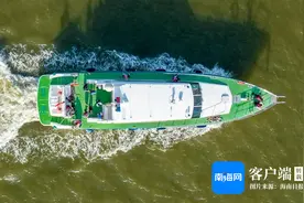 文化周刊 | 赶海、观鸟、研学……被海口北港岛“硬控”了图片