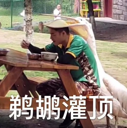 最新！北京春天动物图鉴！
