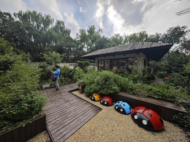 秋日去哪漫步打卡？上海发布首批13条生境花园Citywalk路线