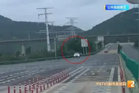 停车换位是为了顶包？开车的这两人竟然都没驾驶证！图片