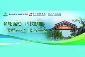 天都峰结束“冬眠”！明日起恢复开放！图片