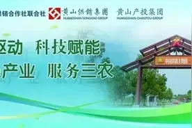 涉及黄山2处！安徽省人民政府批复同意图片