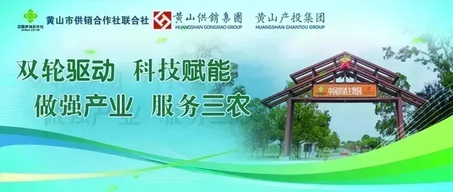 打破传统，汪满田鱼灯首次七夕开嬉！