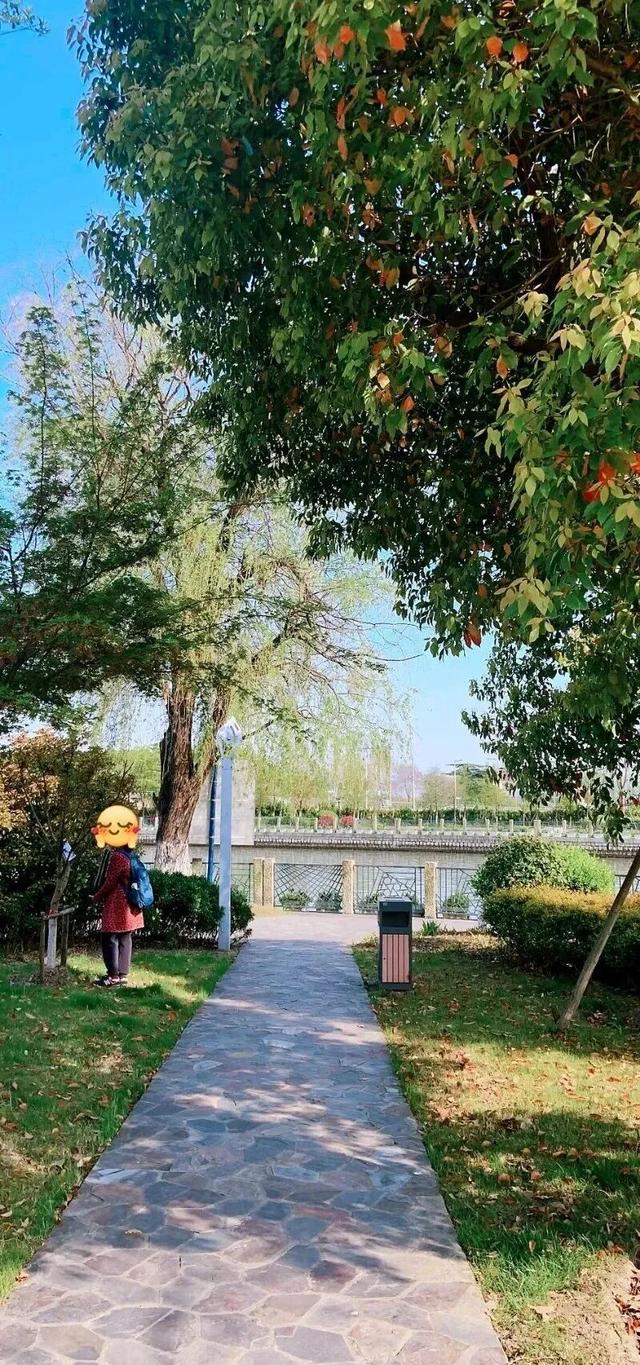 四季流转，青浦这座公园的颜值从来不掉线！