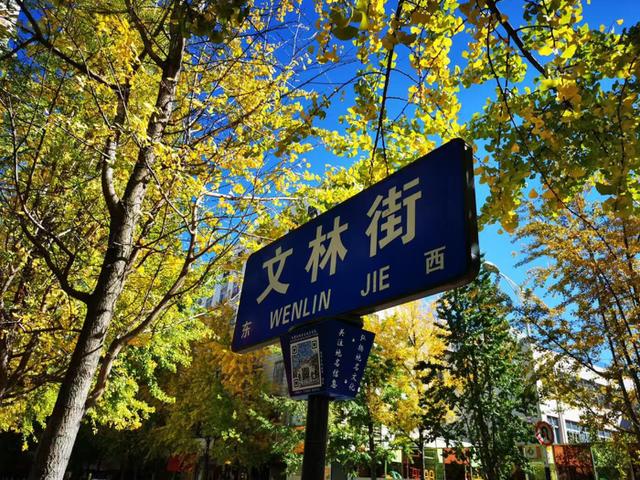 解锁大翠湖历史人文旅游圈 触摸春城千年肌理