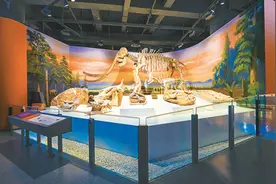 大美内蒙古 天地蕴物华（你所不知道的一级馆）图片