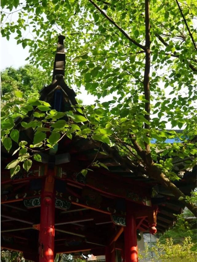 周末踏古计划：来昆明这座百年古桥，当一回画中人