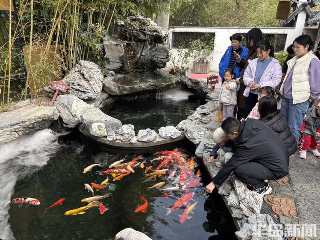 浮山初冬：暖阳里的慢时光！