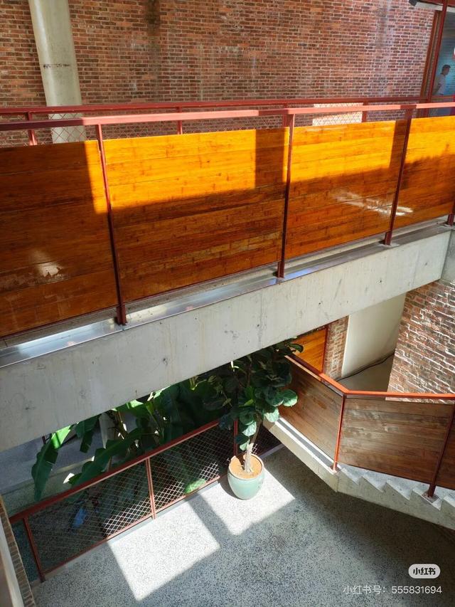 花海走起！湛江秋日限定打卡点！