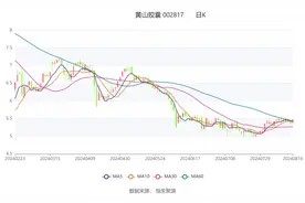 黄山胶囊：2024年上半年净利润2968.24万元 同比下降21.84%图片