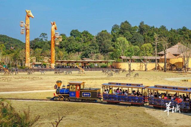 清远“长隆+”激活全域农文旅融合 上半年旅游收入近百亿元