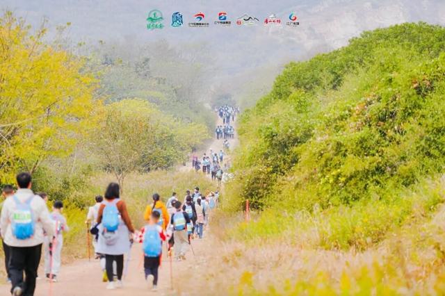 一场跨越汤山的 “自然奔赴”→