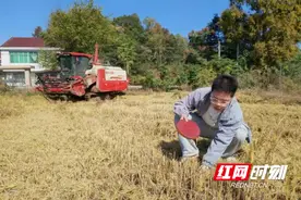 桃源县木塘垸镇：碧水蓝天共守护 秸秆利用变财富图片