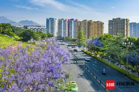 四川攀枝花出台房地产“11条” 多子女家庭购房最高贷款额度可上浮10万元图片