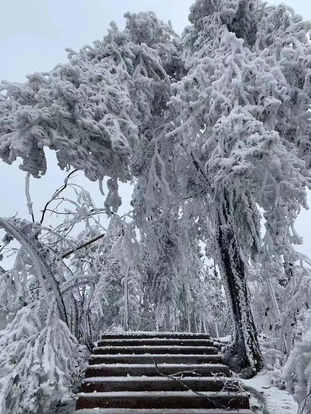 多地下雪！广西限定版“冰雪世界”已上线