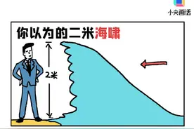 遇到海啸应该如何自救？图片