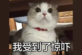 挑衅？女生被老鼠咬手，反咬报仇！室友：天灵盖上俩牙印｜如何正确处理？专家提醒 →图片