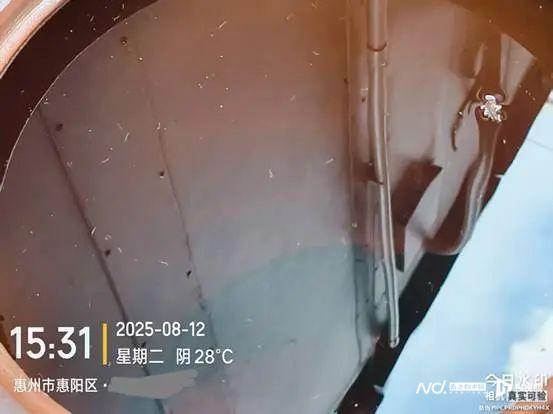 广东一地多家机构因防蚊不力被罚
