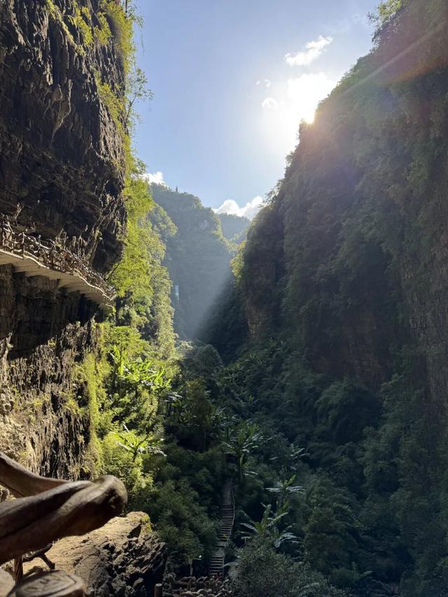 载誉前行！贵州十二背后荣膺行业重磅奖项！