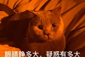 在药店免费提供的充气城堡玩耍，孩子受伤，谁承担责任？图片