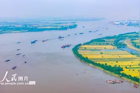 安徽芜湖：长江水域航运繁忙图片