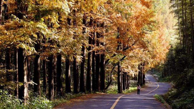 余杭初冬藏不住！这些秘境绝美~