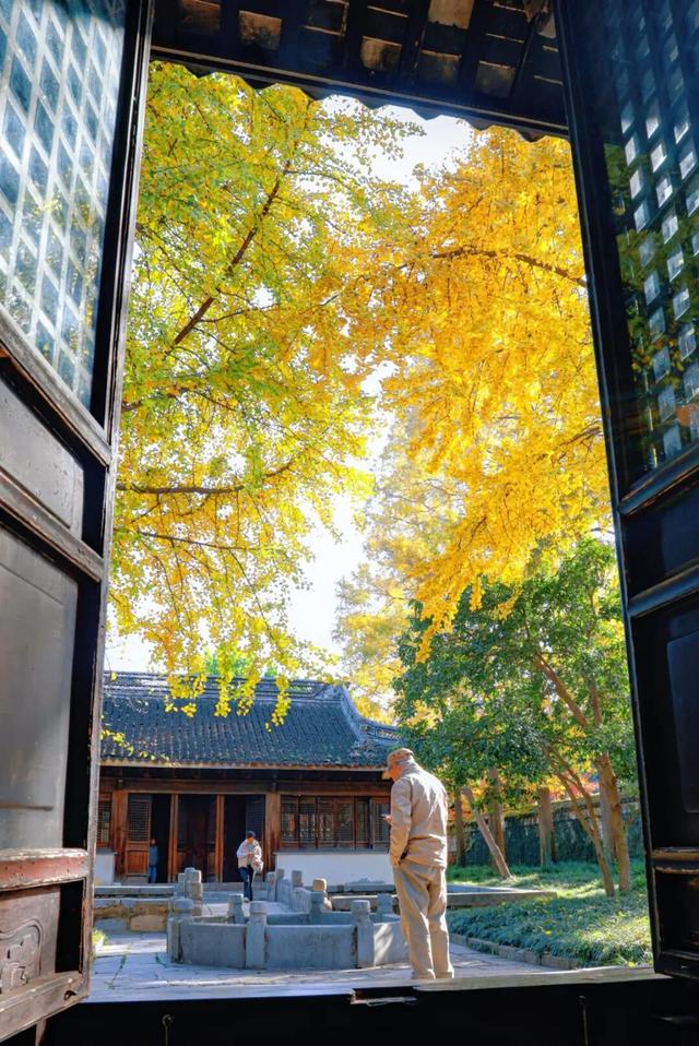 来无锡，打卡的不止有风景……