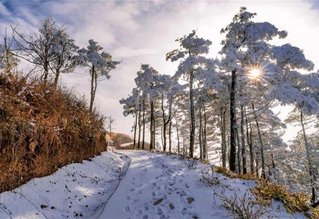 这个冬天，到贵州赴一场色彩之约