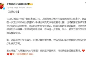 肋部无明显骨折现象 但武磊出战世预赛仍成疑图片