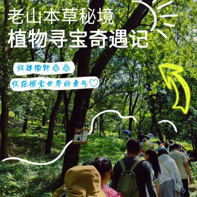 南京入秋了！有哪些“捡秋”好去处？