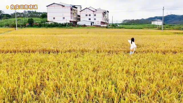 跟着节气来打卡 | 今日立冬，美好正当时！来南宁收藏一帧初冬的浪漫画卷
