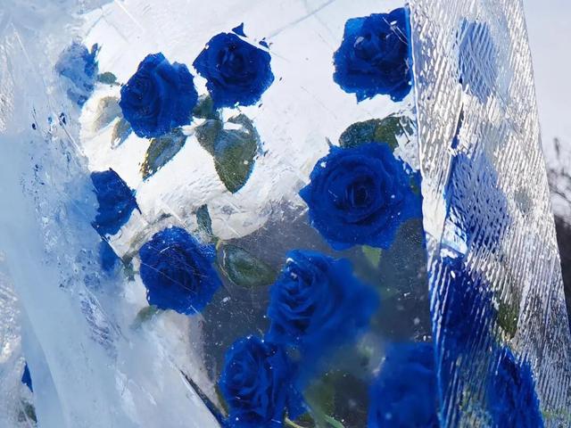 雪国净月 心归之处