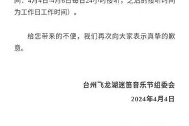 音乐节频频“不可抗力”延期，被嘲“卖不出票的遮羞布”图片