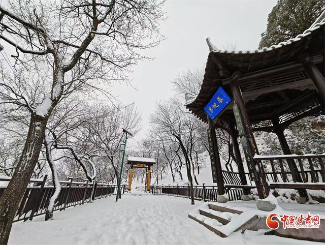 陇拍客丨甘谷：一雪覆青山 天门入画来