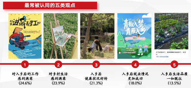 27省份青年入乡调研：还需更多制度性支持与政策性保障