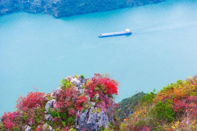 巫峡红透时，才懂中国秋天的壮阔