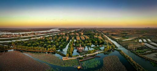 济宁冬季赏叶天花板，错过等一年的绝美景色