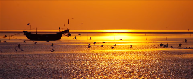 东台有啥骄傲的？