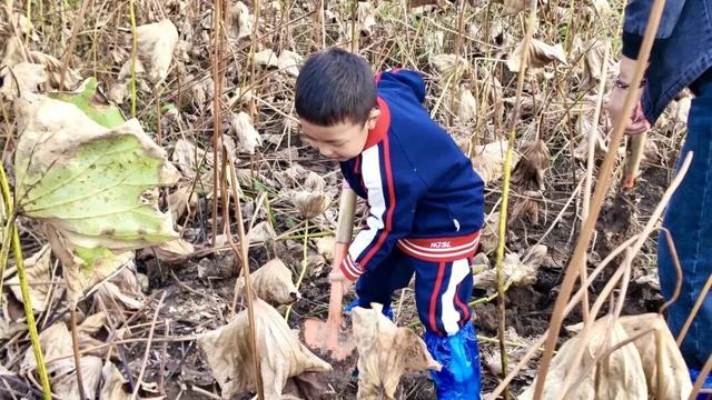 知识+100，快乐+100