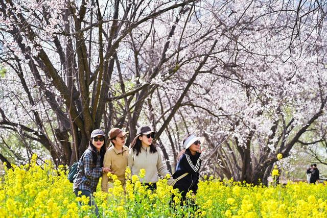 快出发！这些地方陆续美成仙境！