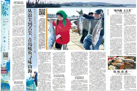 好山东|从浪尖到舌尖，青岛鲅鱼寻味山海图片