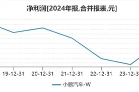 小鹏汽车2024年净亏损收窄，盈利时间被理想、零跑超越图片