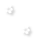 初冬的风里竟有了粉色的“味道”！就在龙潭公园里~