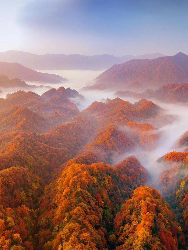 秋天旅行清单，光雾山必须有姓名！