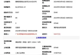 福田摘得惠州地块！“飞地园区”聚焦新质生产力图片