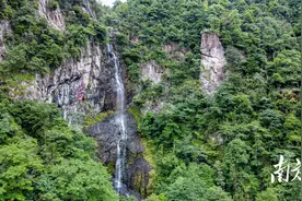 安远探源：三百山为笔，书写东江源头大文章丨溯河之源图片