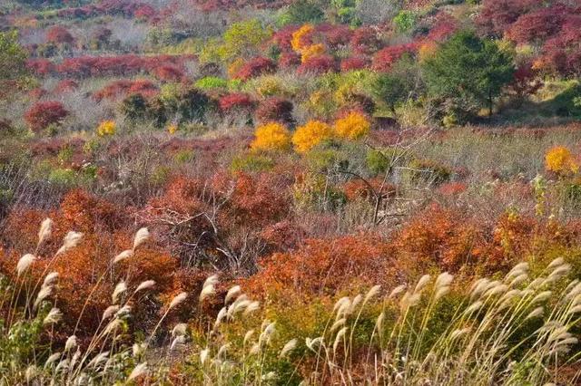 Hi走奉化① | 来栖霞坑，奔赴一场唐诗之路的千年约会吧！