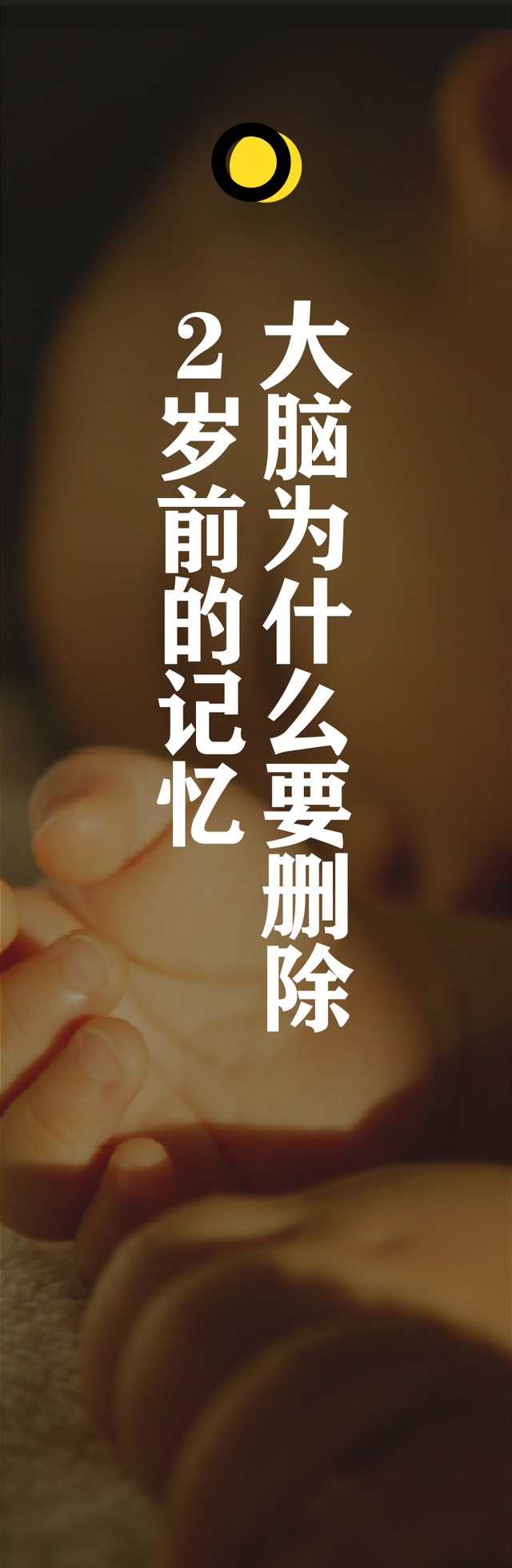 《南京照相馆》为何能成爆款