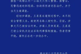 母女公园内遭4条恶犬围攻撕咬，警方通报图片