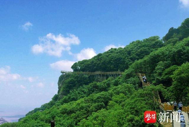 【图集】大美江苏！穿越森林秘境，漫步郊野公园，沉浸式感受"绿色动脉"